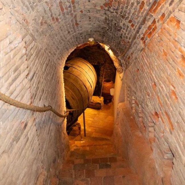 ¡Ven a conocer nuestra bodega del S.XVII!